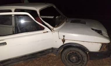 Accidente en la ruta: un auto chocó contra una vaca cerca de El Portezuelo