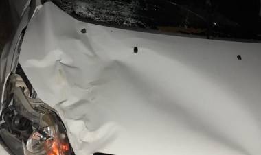 Accidente en la Ruta 38: un auto chocó contra un vacuno y no hubo heridos