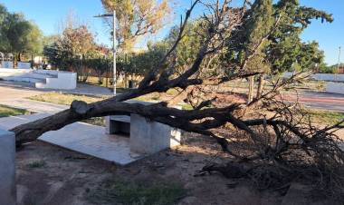 Chepes: un fuerte temporal azotó la cabecera departamental con caída de granizo