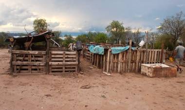 Investigan un caso de abigeato tras el robo de un porcino en Chepes