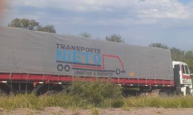 Ñoqueve: Camión sufrió un desperfecto mecánico y terminó en la banquina en Ruta Provincial 29