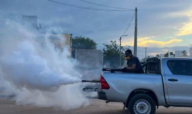 Acciones de control de mosquitos en sectores puntuales de la ciudad de Chepes