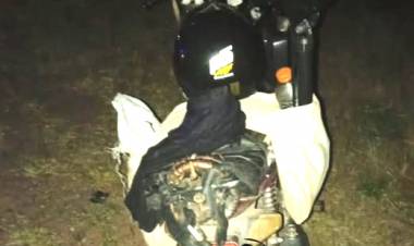 Motociclista herido tras chocar con un perro en Ruta 29