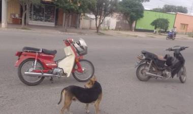 Choque al remolcar una moto en Chepes: una mujer herida