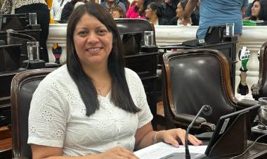 Fuerte impronta política en la agenda legislativa provincial