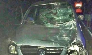 Automóvil chocó contra un burro en cercanías a Chepes: en el rodado viajaban 5 personas