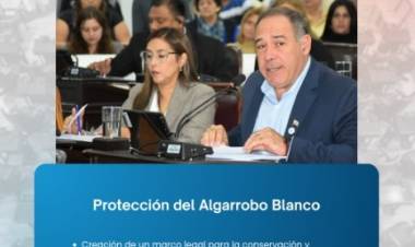 Cristian Pérez presentó proyectos de ley vinculados a salud, ambiente y cultura