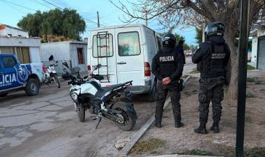Secuestraron una planta de cannabis que era transportada en una combi en Chepes