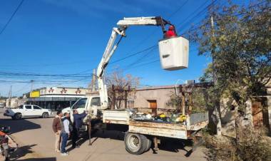 Avanzan trabajos de poda para optimizar el alumbrado público en Chepes