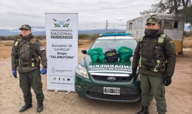 Control en La Rioja: incautan más de 19 kilos de hojas de coca en un colectivo