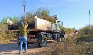 El Municipio intensifica las tareas de limpieza y mantenimiento en distintos sectores