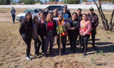 El Municipio fortaleció los espacios verdes con una jornada de forestación