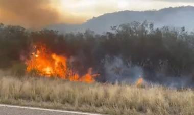 Portezuelo: un incendio de gran magnitud se propagó cerca de la Ruta 29