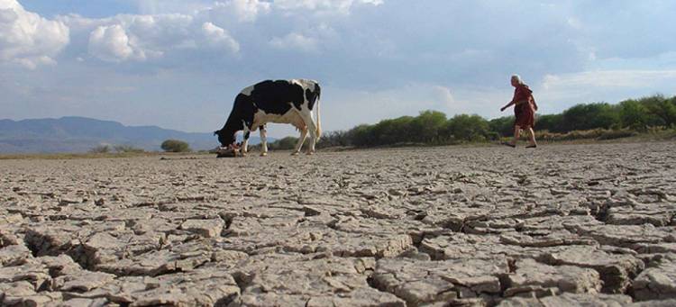 Productores denuncian que aviones rompetormentas provocan sequía en los Llanos.