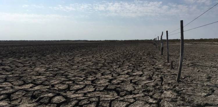 Crece la preocupación por sequías en la zona de Los Llanos.