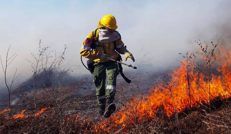 La Rioja: Siguen activos los focos de incendios en Olta y Chepes.