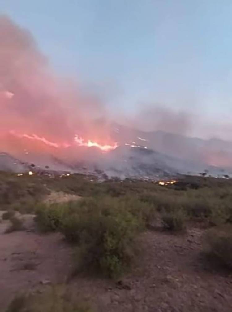 Chilecito: Enorme y voraz incendio forestal golpea a guanchín.