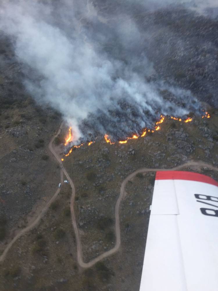 Incendio en Sierra de los Quinteros: El 80?l territorio afectado se encuentra controlado.