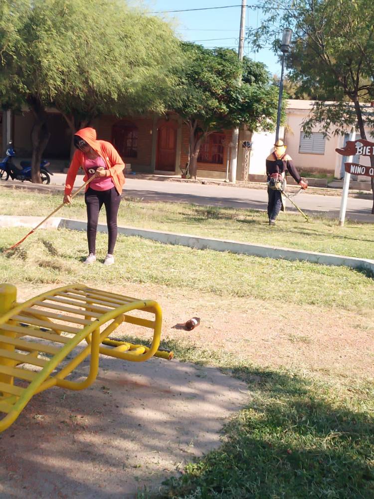 Obras y Servicios Públicos: Siguen los operativos de desmalezado en espacios verdes.