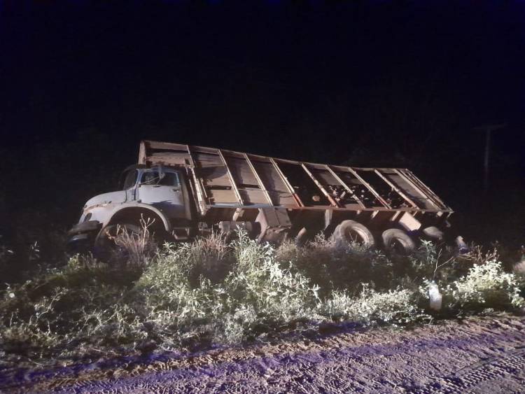 Un camión cargado de leña volcó en un canal.