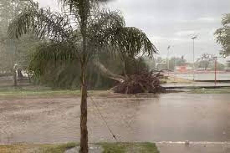 Una fuerte tormenta provocó daños en Chamical.