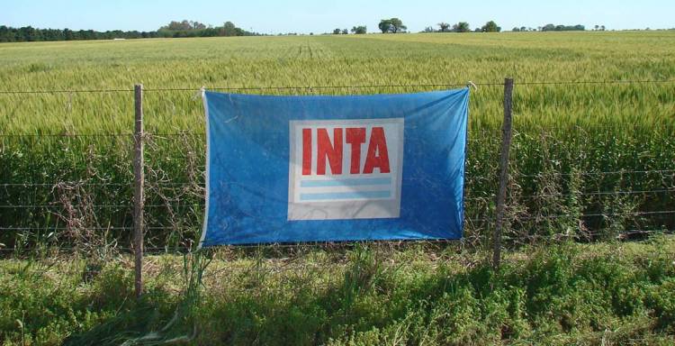 INTA ofrece becas para dos extensiones del interior.