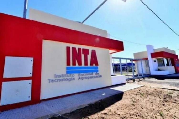 El INTA busca cubrir puestos de trabajo en innovación y desarrollo sustentable