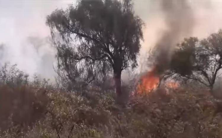 Chepes: incendio de gran magnitud se visualizó al este de nuestra ciudad