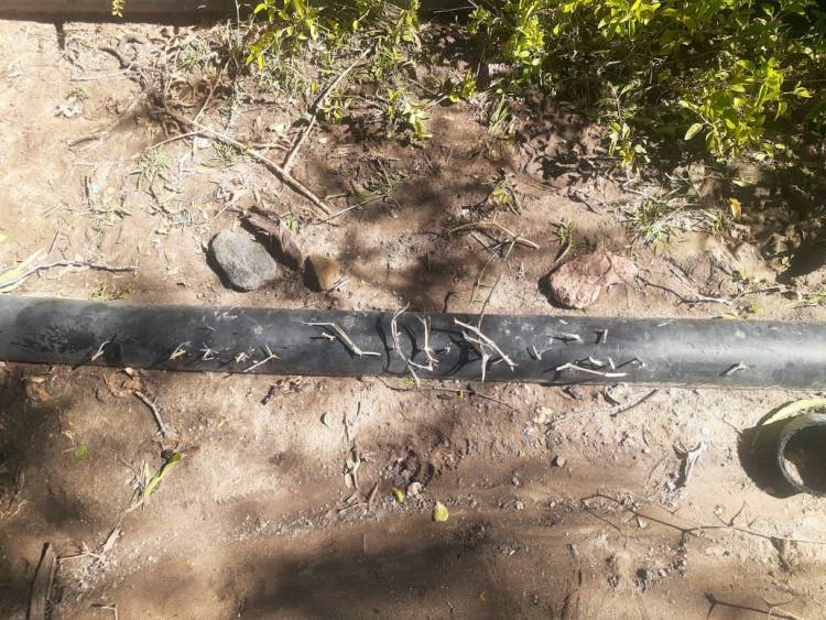 Malanzán: pincharon mangueras de agua y las taparon con espinas