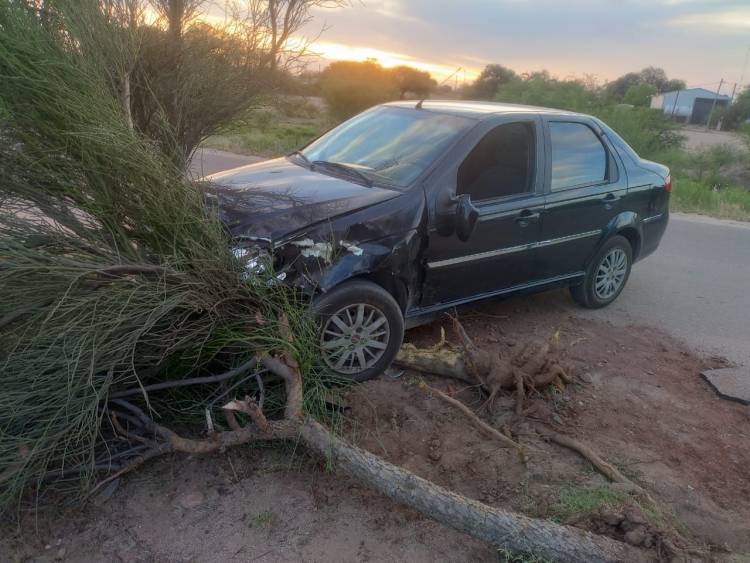 Milagro: Un conductor en estado de ebriedad chocó contra un árbol