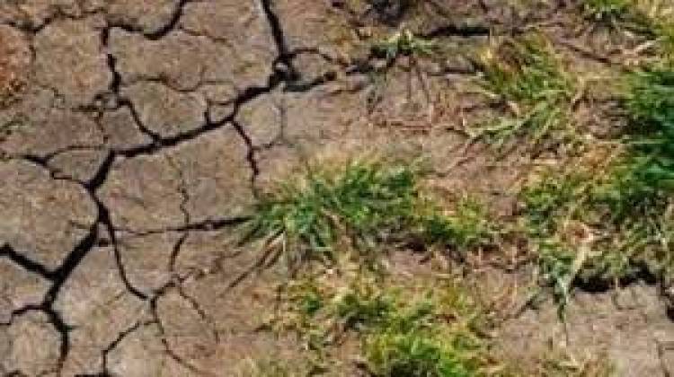 Productores de Los Llanos plantearon el problema de sequía en Nación