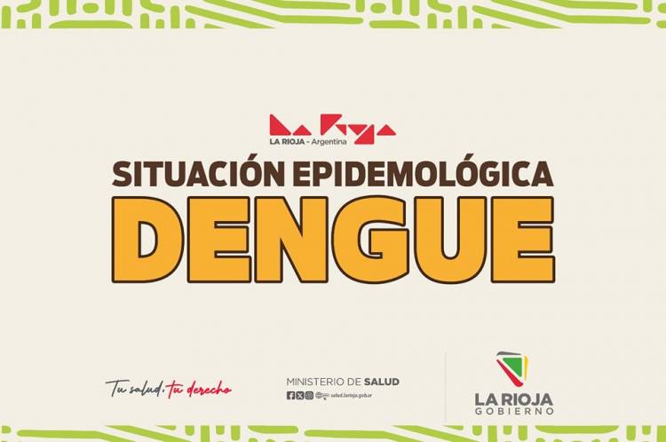 Informe diario de la situación epidemiológica de dengue