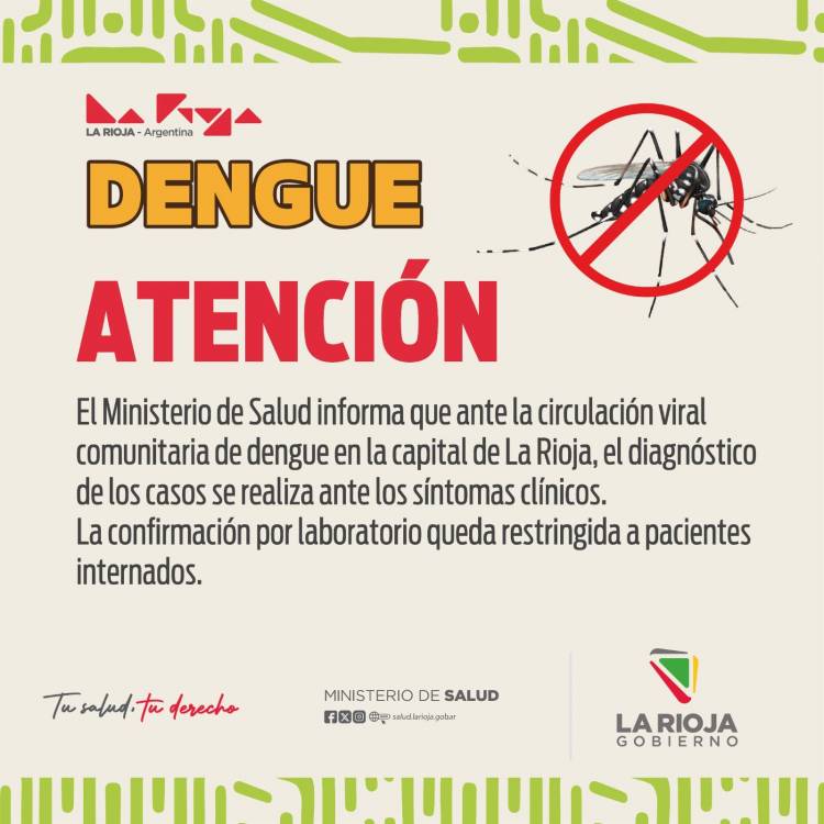 Dengue en La Rioja: Se reportaron 345 nuevos casos y una muerte en la última semana