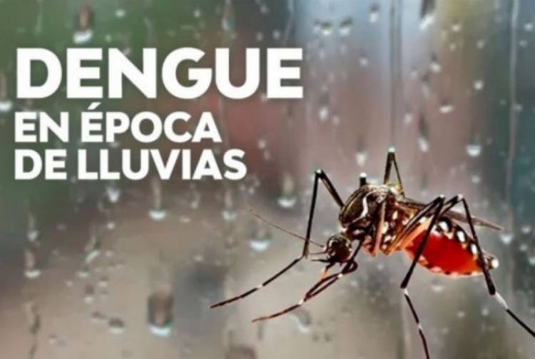 En época de lluvias es determinante prevenir el dengue