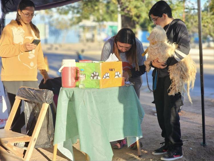 Chepes: Desfile de mascotas y jornada de vacunación