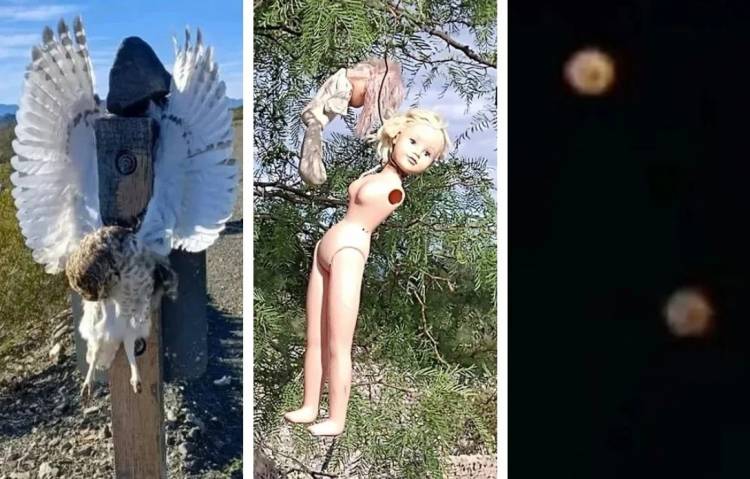 San Juan: Encontraron un buho crucificado, muñecas mutiladas y las increíbles historias paranormales en Jáchal