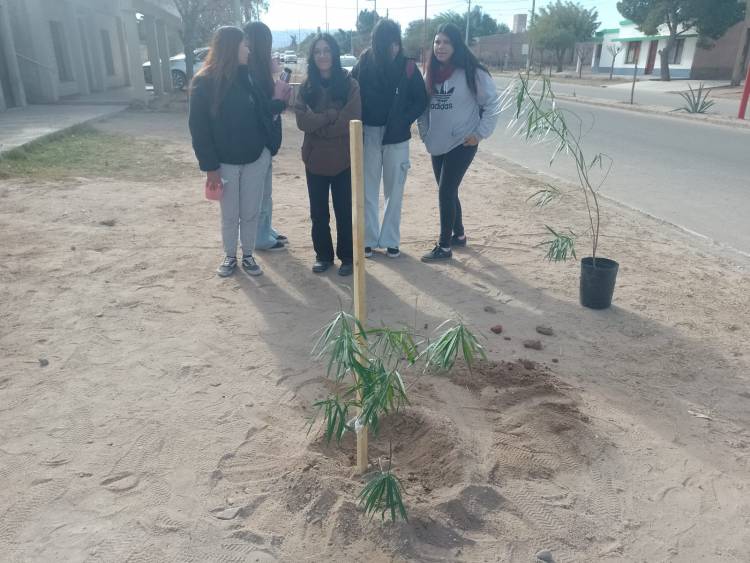 “Plantar es futuro y cuidar nuestro hogar” escuelas secundarias y comunidad del sector sur plantaron árboles