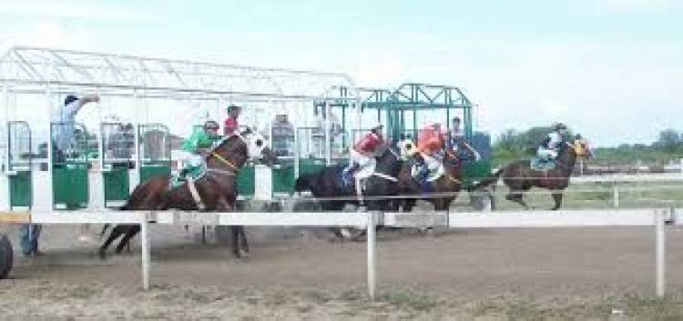 Ulapes: Muere un yegua, tras una carrera en el Hipódromo “La ilusión”