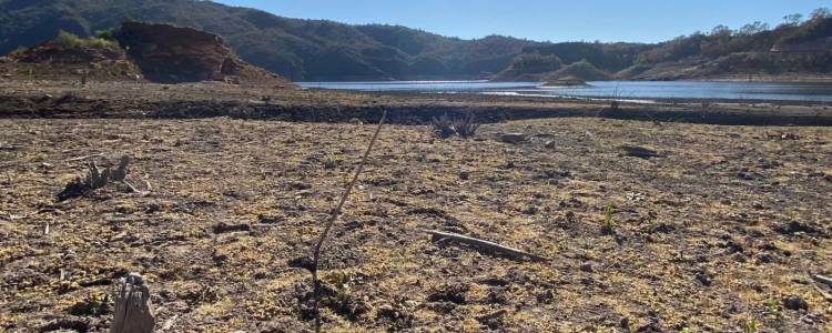 Crisis hídrica en La Rioja: Alarma por el descenso del nivel del dique de Olta