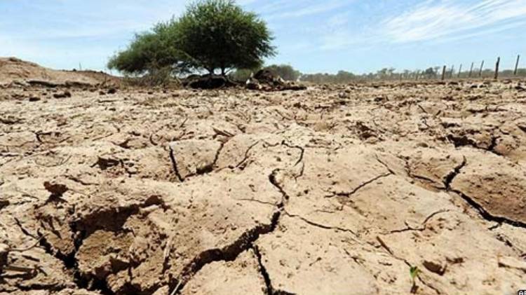 El gobierno declarará la emergencia ganadera por la sequía