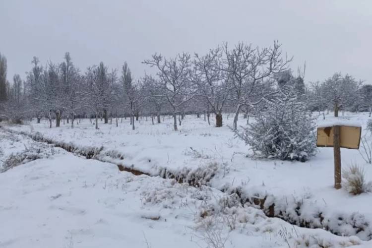 Famatina amaneció cubierto de nieve