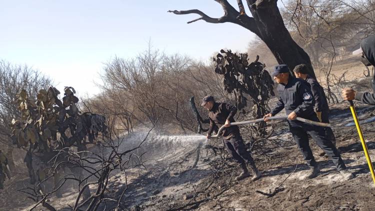 Incendio de gran magnitud en Chepes: Los bomberos trabajaron durante 7 horas