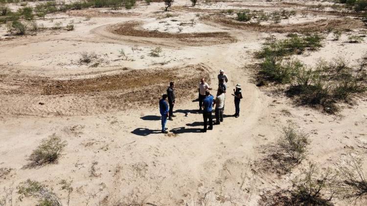 Ciencia y Producción: cátedra de recursos forrajeros recorre campo sol de mayo