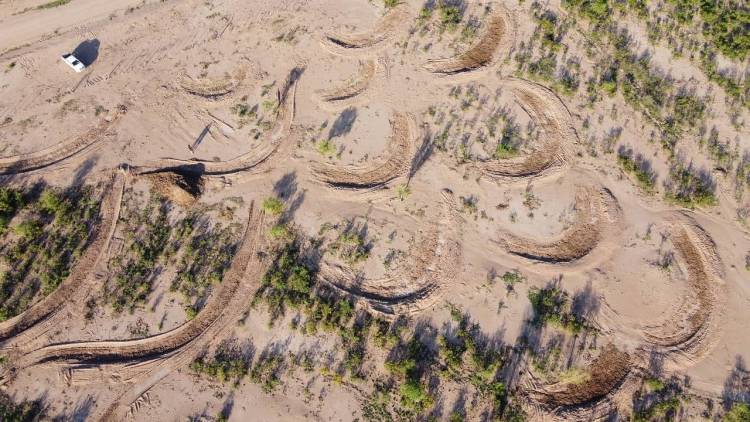 Medialunas Contra la Desertificación: Realizan relevamiento de datos en el campo municipal Sol de Mayo