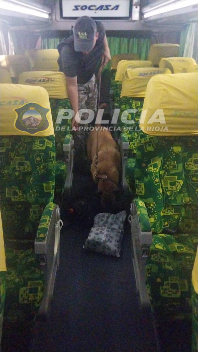 Dirección General de Prevención e Investigacion del Narcotrafico encontró cocaina en el ingreso a Chepes