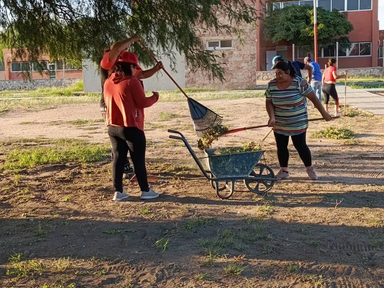 Operativo de limpieza y desmalezamiento en el Complejo Aministrativo Rosario Vera Peñaloza