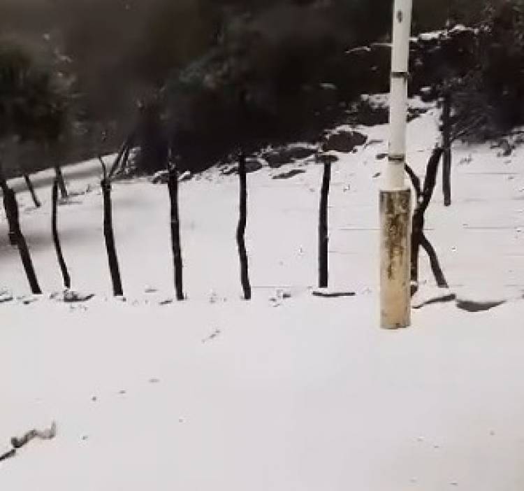 Chepes: Llego la “bomba polar” en la localidad de La Laguna
