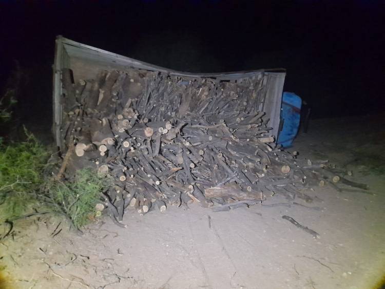 Un camionero volcó su vehículo cargado con leña en cercanías de San Antonio