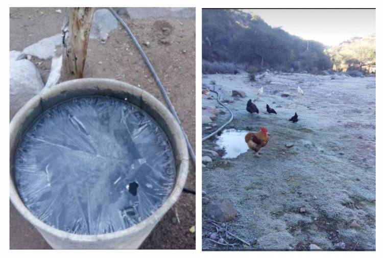 Chepes amaneció bajo cero: autos, reservorios congelados y nieve en zonas serranas