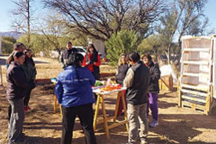 Feriantes de El Portezuelo se capacitaron en construcción de secaderos